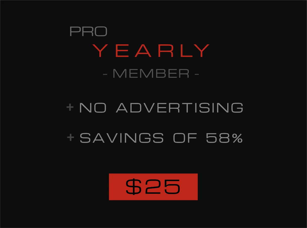 PRO-YEAR-$25