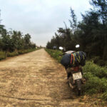 Resistance to Change is Resistance to Survival - Motorbiking Vietnam