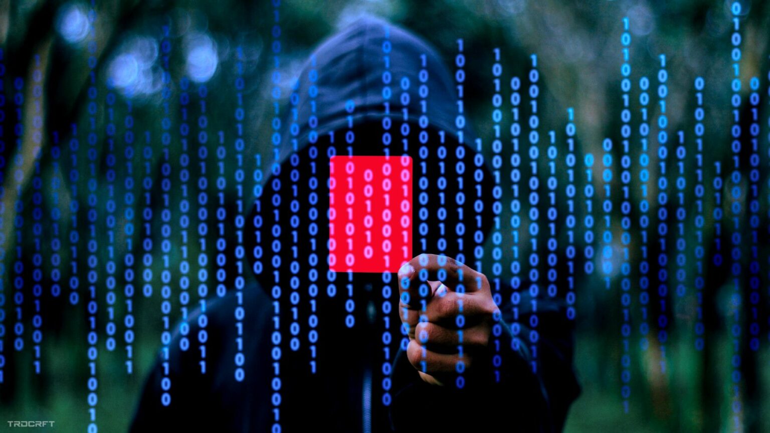 Social Hacking Bypassing Any Tech Security TRDCRFT